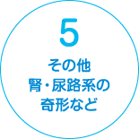 5:その他 腎・尿路系の奇形など