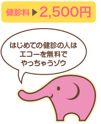 健診料2,500円。はじめての健診の人はエコーを無料でやっちゃうゾウ